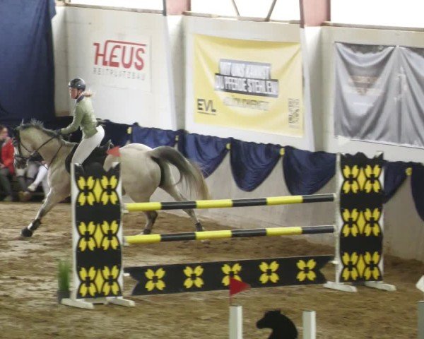 Reitturnier Diez 2025