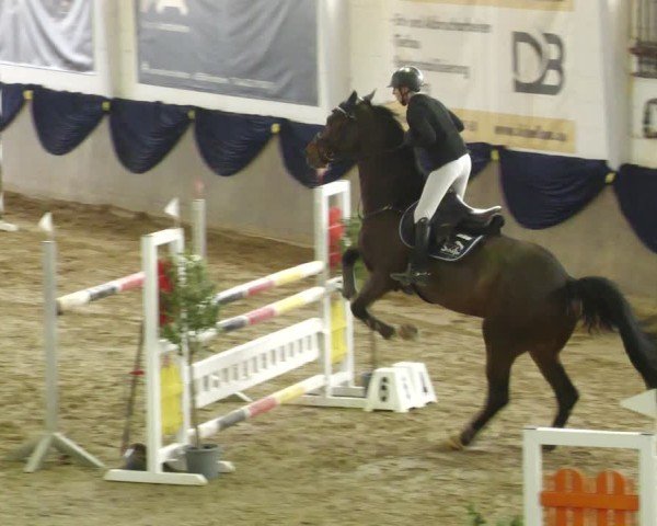 Reitturnier Diez 2025