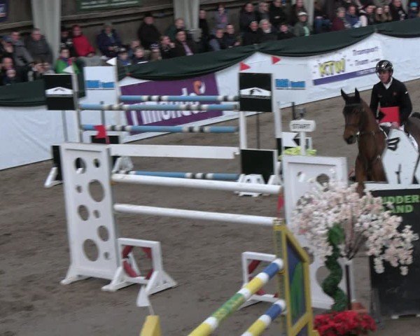 Reitturnier Timmendorf 2025