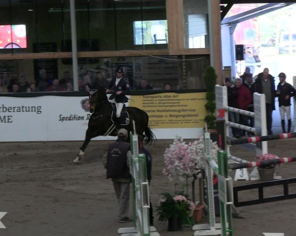Reitturnier Timmendorf 2025
