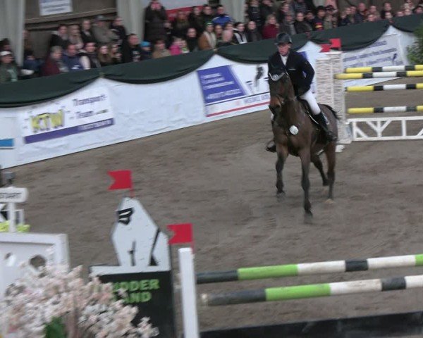 Reitturnier Timmendorf 2025