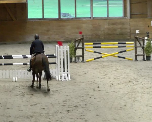 Reitturnier Rüti 2021