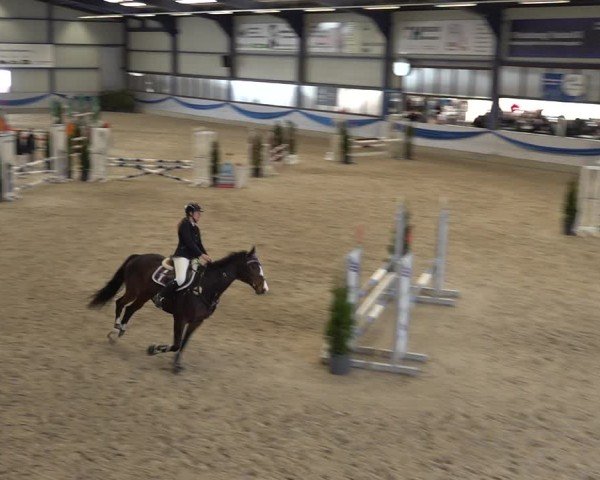 Reitturnier Buchs 2025