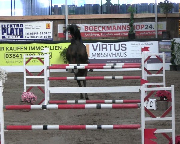 Reitturnier Timmendorf 2025