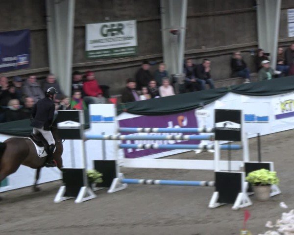 Reitturnier Timmendorf 2025