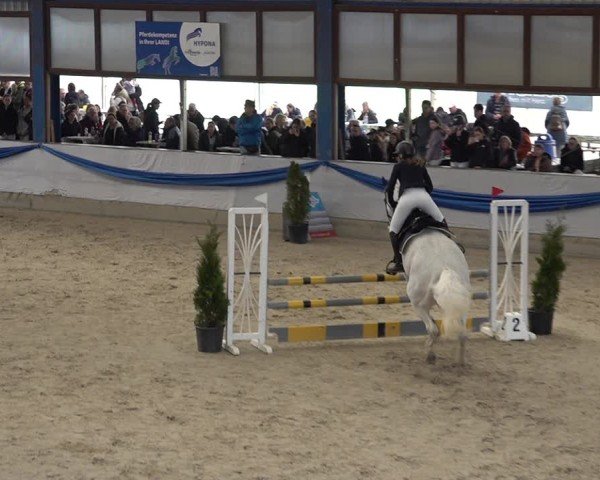 Reitturnier Buchs 2025