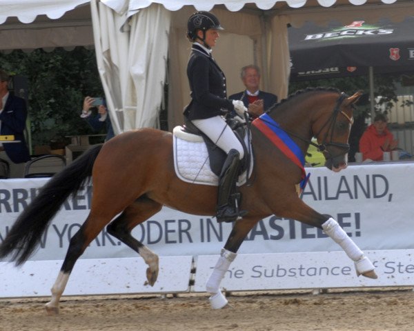 Zuchtstute Sophie's Chanel WE (Deutsches Reitpony, 2018, von Fs Numero Uno)