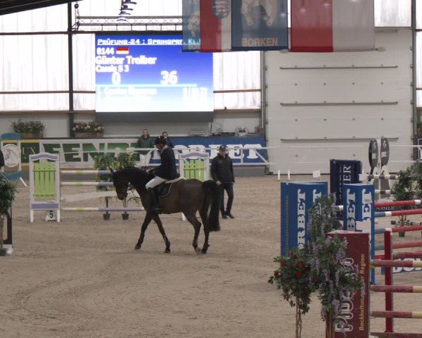 Reitturnier Borken (Hessen) 2025