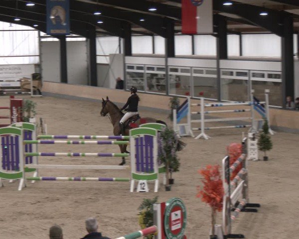 Reitturnier Borken (Hessen) 2025