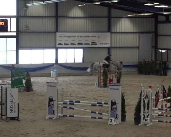 Reitturnier Buchs 2025