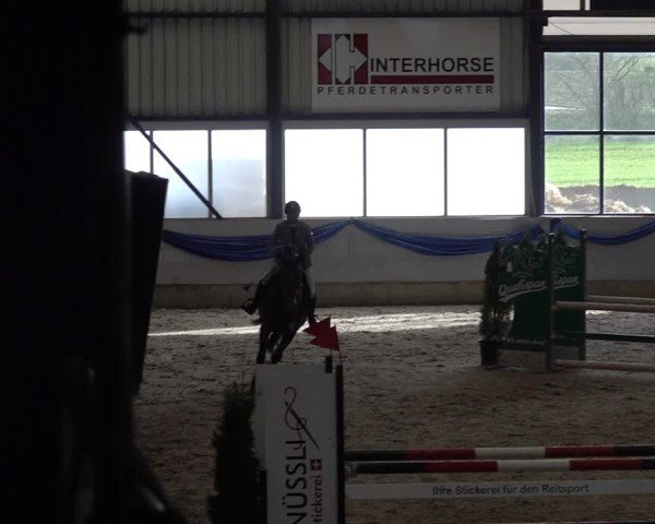 Reitturnier Buchs 2025