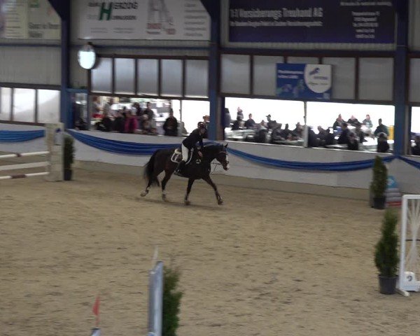 Reitturnier Buchs 2025