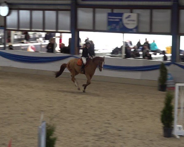Reitturnier Buchs 2025