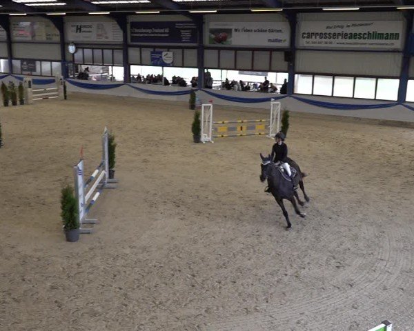 Reitturnier Buchs 2025