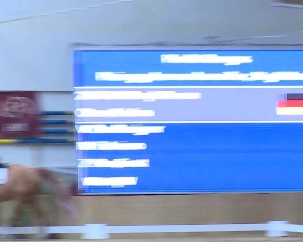 Reitturnier Eicherloh 2025