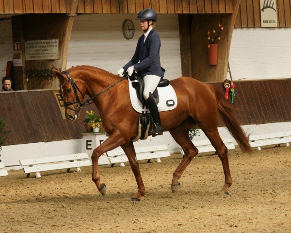 dressage horse Filuna AW (Hanoverian, 2019, from Falihandro)
