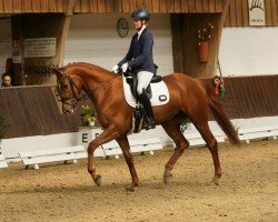 dressage horse Filuna AW (Hanoverian, 2019, from Falihandro)