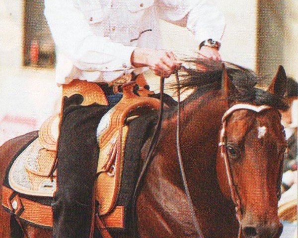 Pferd Command With Me (Quarter Horse, 2000, von Lean With Me)