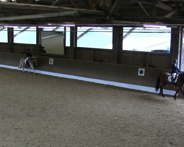 Reitturnier Poggersdorf 2025