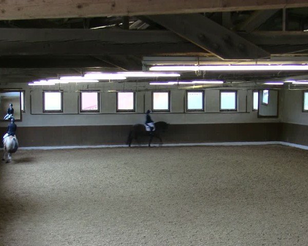 Reitturnier Poggersdorf 2025