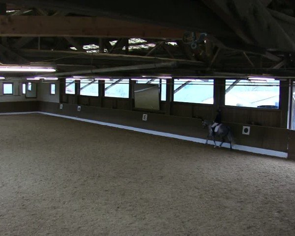 Reitturnier Poggersdorf 2025