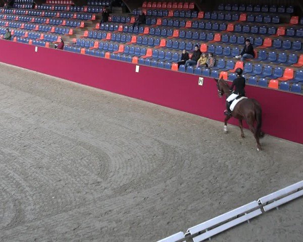 Reitturnier Krumke 2025