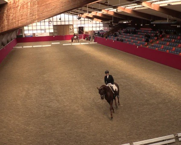 Reitturnier Krumke 2025