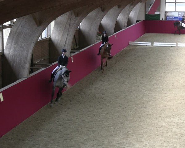 Reitturnier Krumke 2025