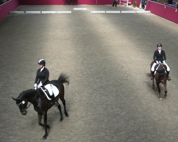Reitturnier Krumke 2025