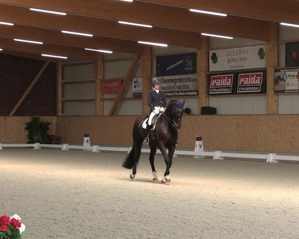 Reitturnier Hohen Wieschendorf 2025