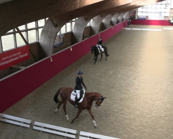Reitturnier Krumke 2025