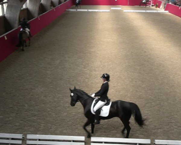 Reitturnier Krumke 2025