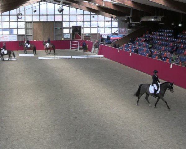 Reitturnier Krumke 2025