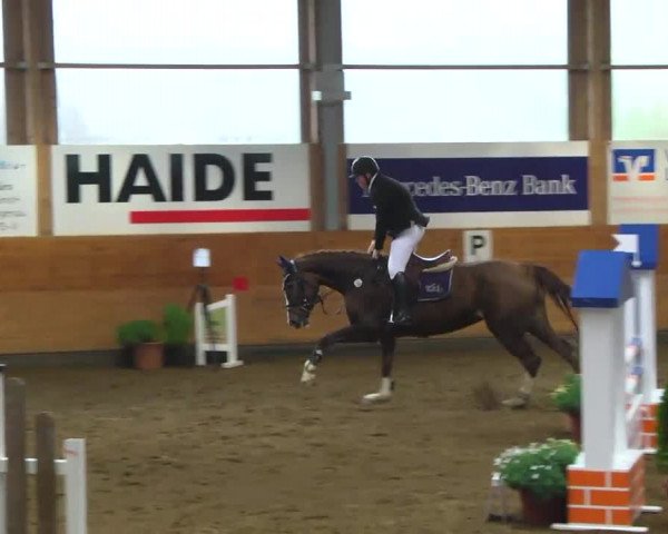 Late-Entry Langenau 2013