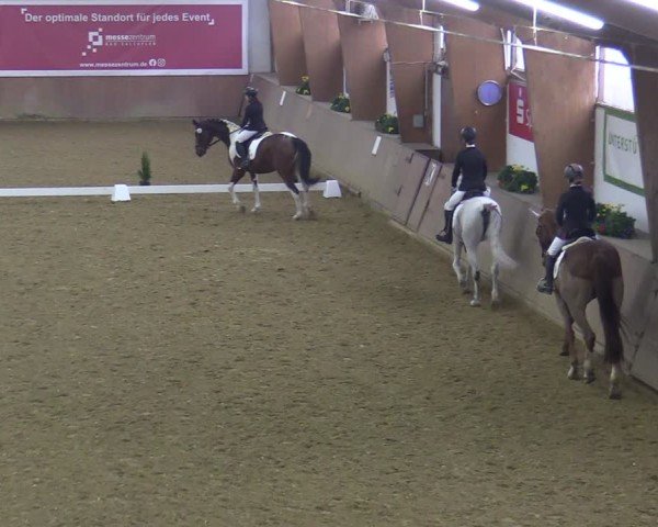 Reitturnier Bad Salzuflen 2025