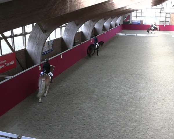 Reitturnier Krumke 2025