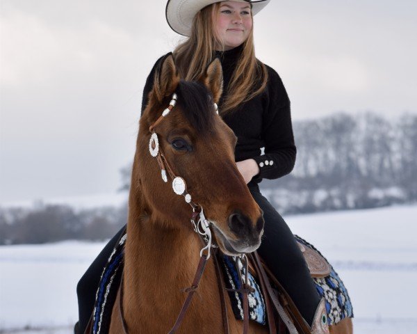 horse Snickers (German Riding Pony, 2013, from Don Dolino)