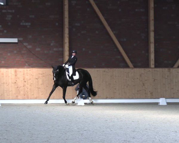 Reitturnier Hohen Wieschendorf 2025