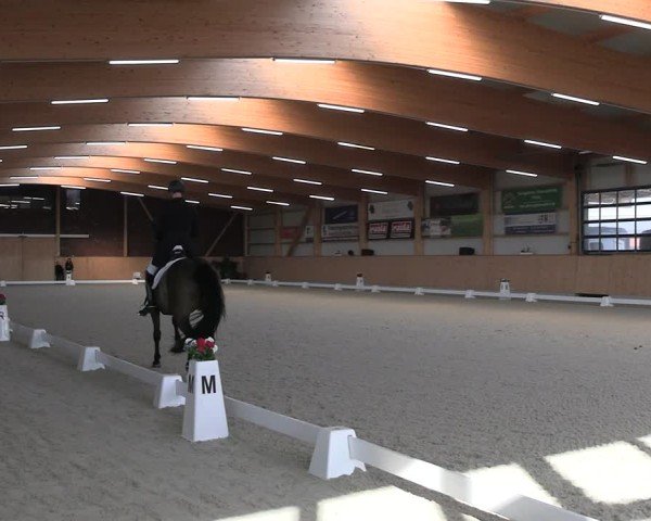 Reitturnier Hohen Wieschendorf 2025