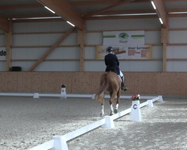 Reitturnier Hohen Wieschendorf 2025