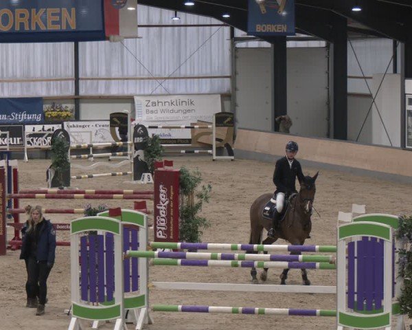 Reitturnier Borken (Hessen) 2025