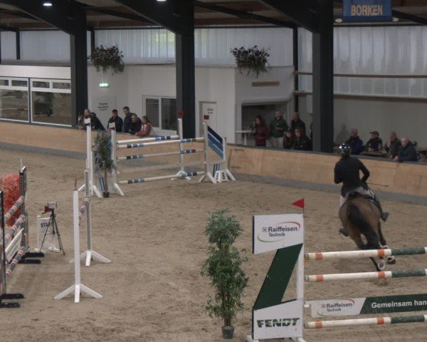 Reitturnier Borken (Hessen) 2025