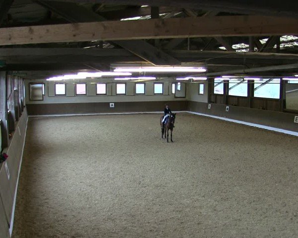 Reitturnier Poggersdorf 2025