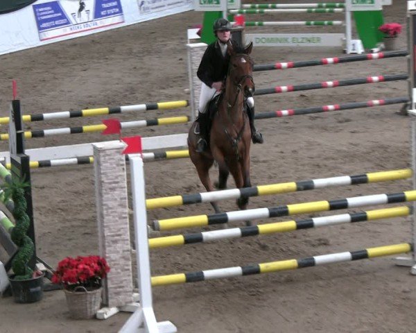 Reitturnier Timmendorf 2025
