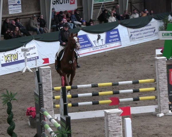 Reitturnier Timmendorf 2025