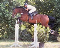 broodmare Uljana 11 (Holsteiner, 2004, from Catoki)