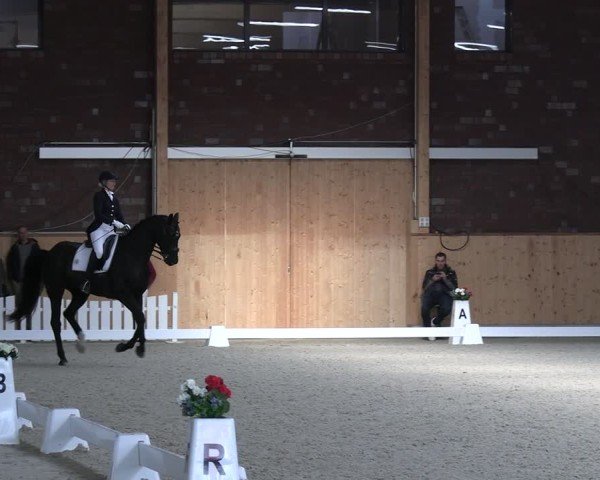 Reitturnier Hohen Wieschendorf 2025
