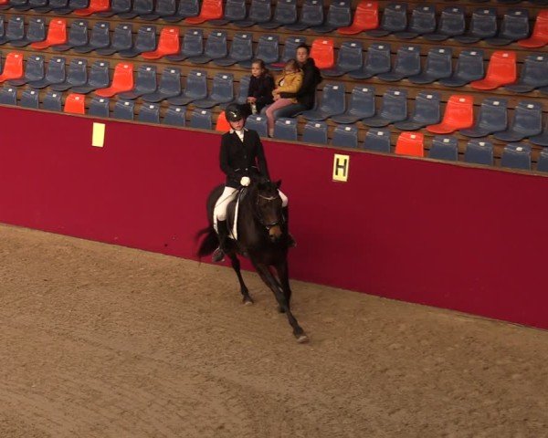 Reitturnier Krumke 2025