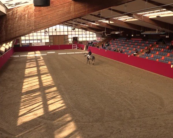 Reitturnier Krumke 2025