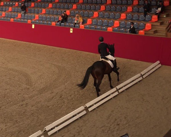 Reitturnier Krumke 2025
